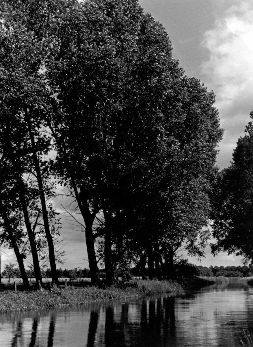 VincenzDialog_14_1 Near Quakenbrück, 1946